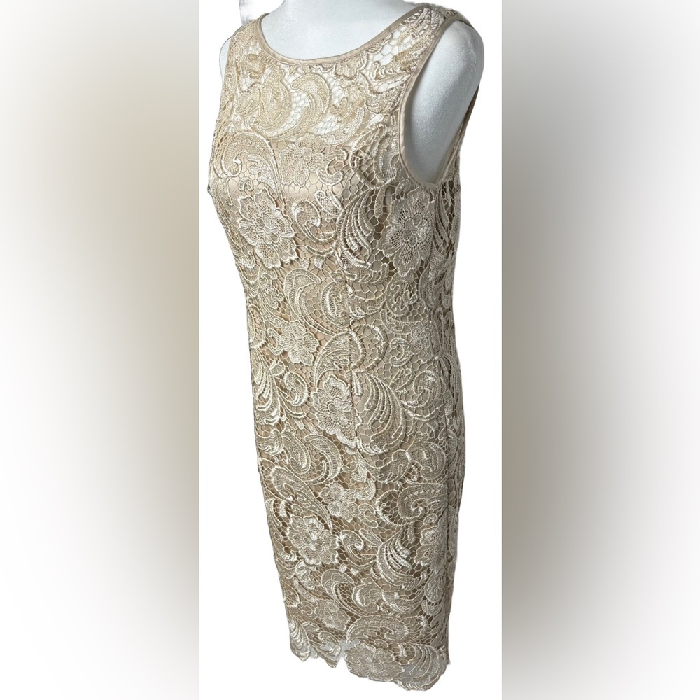 Adrianna Papell Beige Illusion Bodice Lace Sheath Dress - Picture 3 of 8